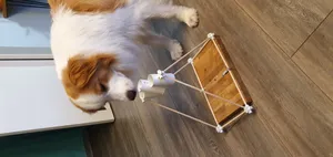 Dog Puzzle Cup