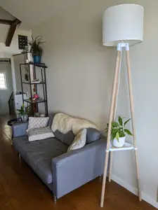 Floor lamp with shelf