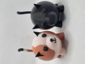 Nice Round Cat