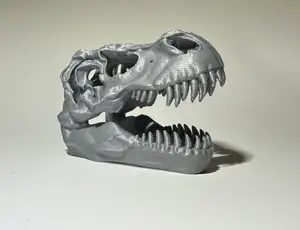 Dinosaur T-Rex Skull