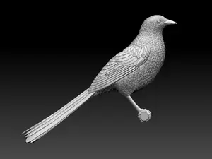 magpie