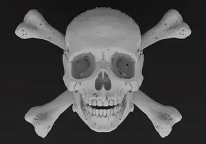 scull