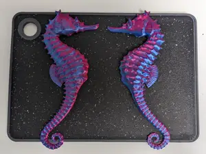 Seahorse symetric magnets