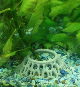 Aquarium Planter
