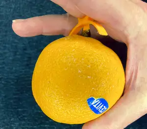 Orange Peeler