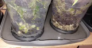 Practical pot support