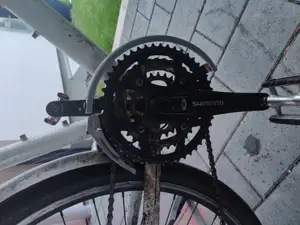 Biscycle geartrain protector