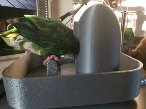 parrot no mess tray + feeder