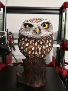 Little Owl (Steinkauz)