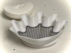 Giant Sea Shell - Soap Dish