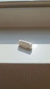 Ticket to Ride train