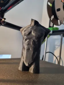 Low poly male torso
