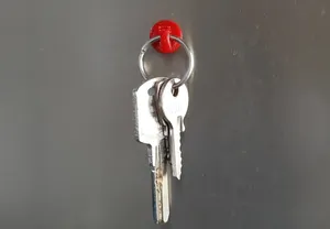 Magnetic Hook - small