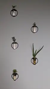 Plant Propagation Test Tube Wall Mount