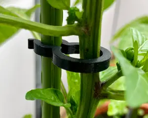 Plant Clip
