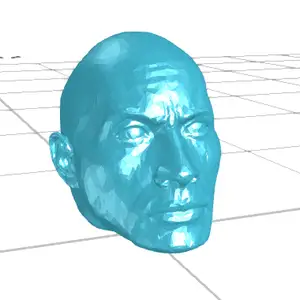 Dwayne "The Rock" Johnson Head