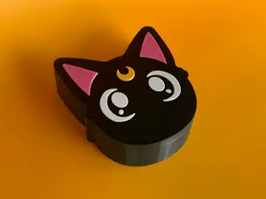 Color Sailor Moon Luna's Box