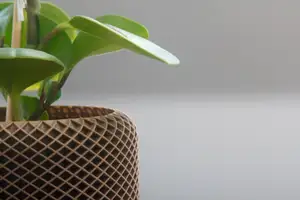 Geometric Planter 1
