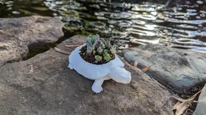 Turtle Planter Pot