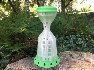 Bug Zoo Jar
