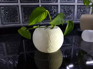 Moon Pot - Maceta Luna