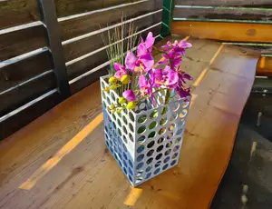 Plant Transport BOX