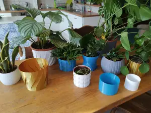 Lots of Pots!