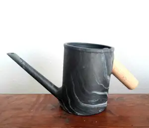 Watering can for watering plants
