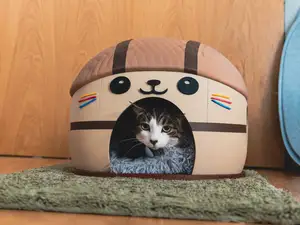 Cute Kawai Cat House - Fullsize Pet Home