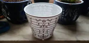 Fancy Tulips Air Mesh Pot