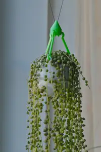 Hanging flowerpot