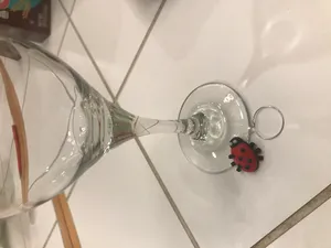 Lady Bug Wine Charm