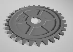 Gear wheel, coaster