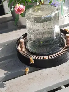 Insektentränke V2 Insect drinker with reservoir