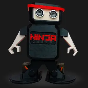 Otto Ninja Humanoid robot