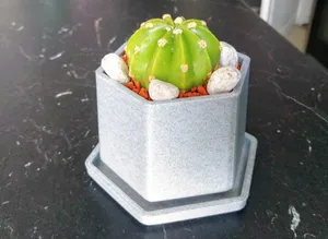 Small Flower Pot with Drip Tray