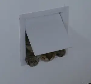 cat door