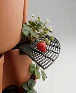Greenstalk/Flower Pot Strawberry Support