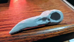 Raven Skull