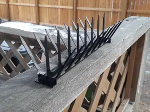 Print Flat Bird Spikes