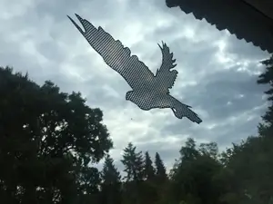 Window Decal Birds Collection