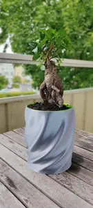 Self Watering Plant Pot With Water Indicator