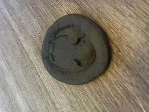 Buddy Dog Bed