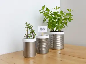 Campbell Planter - Fully 3D Printed Self-Watering Planter