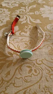 Cat Collar Trackr Pixel Case