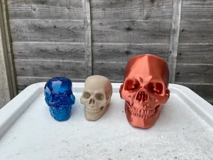 Human Skull
