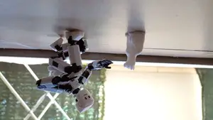 Robot Head From "Stray" game