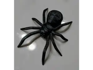 Spider