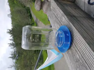 Mason Jar Chick Water Dispenser
