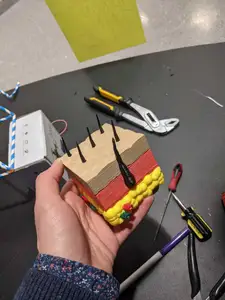 Skin Layer Model
